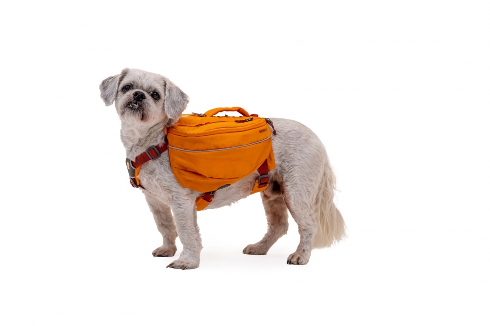 Ruffwear Approach Pack Hundepacktaschen 000127_orange 08